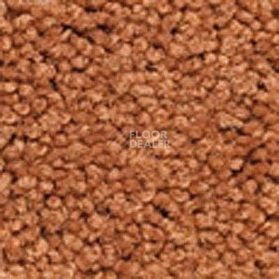 Ковролин Girloon Body1 701 фото 1 | FLOORDEALER